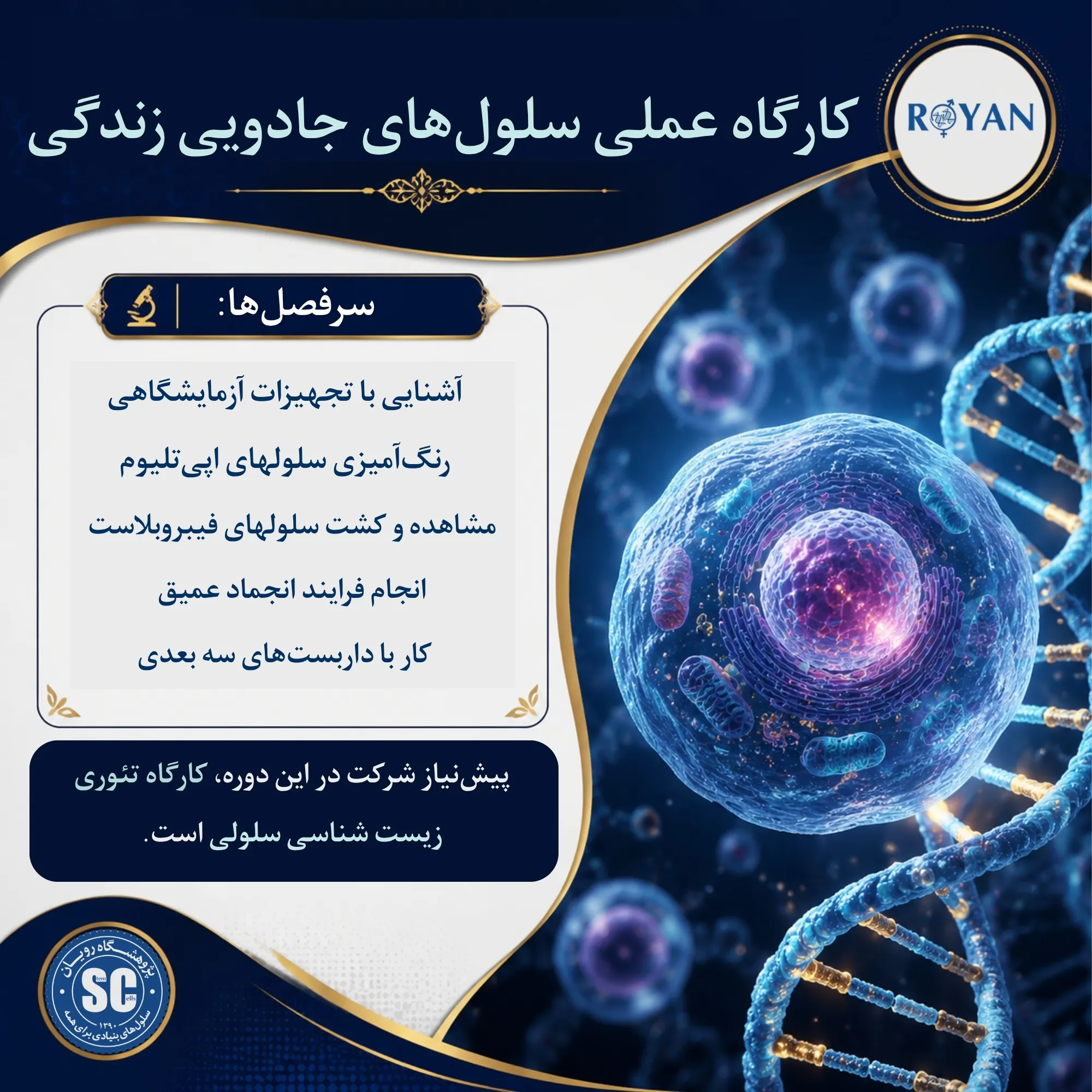 نام دوره